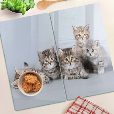 Tabla para cortar Gatos delante de la ventana