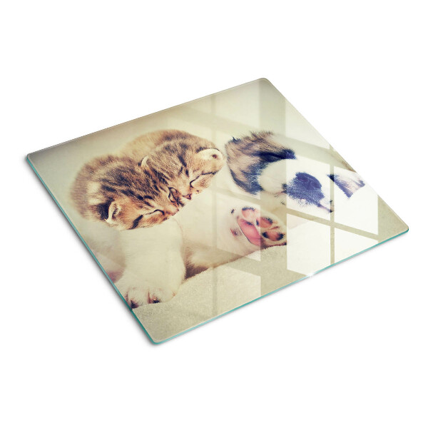 Tabla de cortar de cristal Gatos y un perro durmiendo juntos