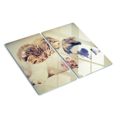 Tabla de cortar de cristal Gatos y un perro durmiendo juntos