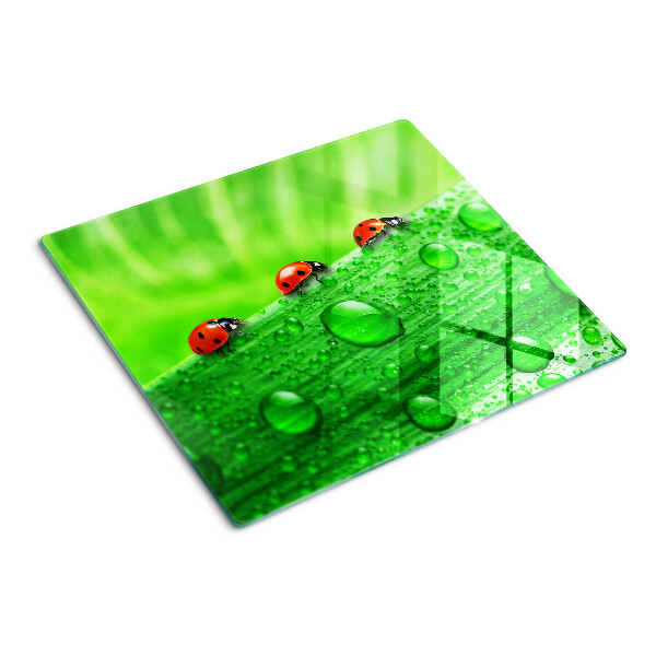 Tabla de cortar de cristal Mariquitas sobre un fondo verde