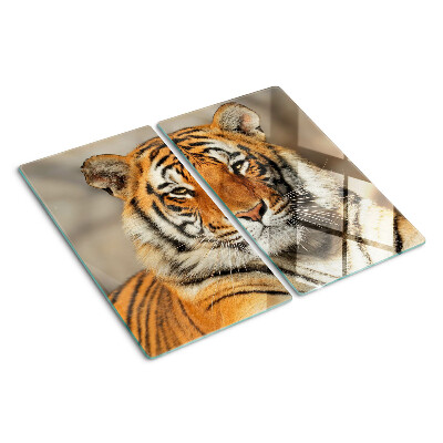 Tabla para cortar Tigre en un entorno natural