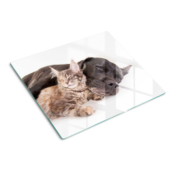 Tabla para cortar Gato y perro durmiendo juntos
