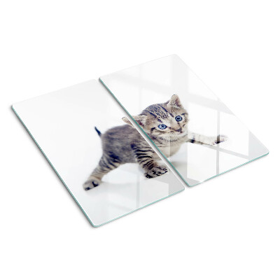 Tabla de cortar de cristal Gatito con ojos azules