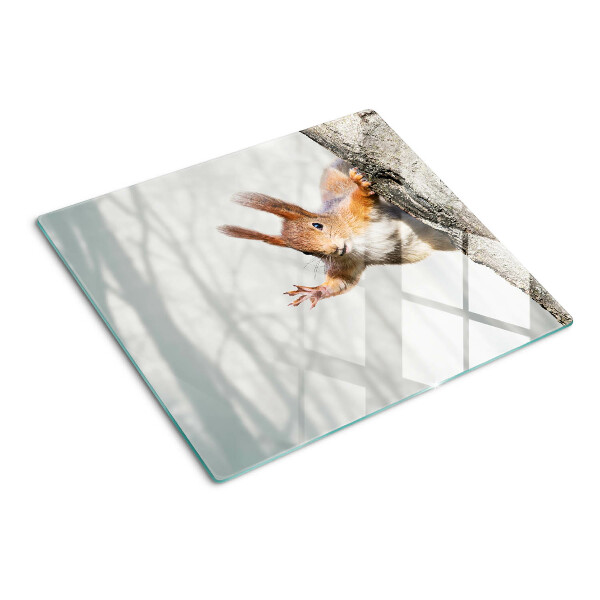Tabla de cortar de cristal Ardilla en una rama