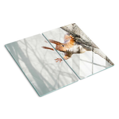 Tabla de cortar de cristal Ardilla en una rama
