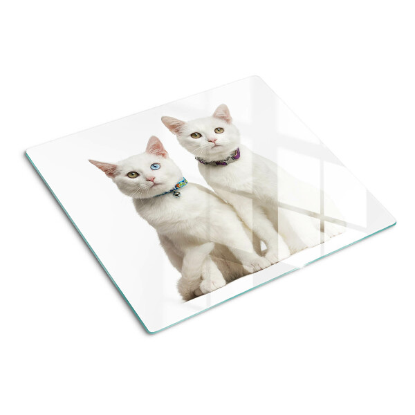 Tabla para cortar Gatos blancos con ojos de diferentes colores.