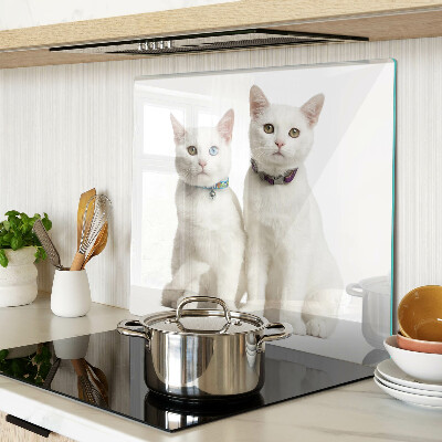 Tabla para cortar Gatos blancos con ojos de diferentes colores.