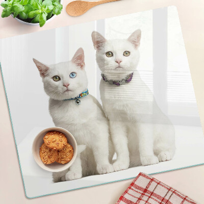 Tabla para cortar Gatos blancos con ojos de diferentes colores.