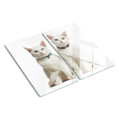 Tabla para cortar Gatos blancos con ojos de diferentes colores.