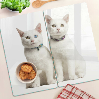 Tabla para cortar Gatos blancos con ojos de diferentes colores.