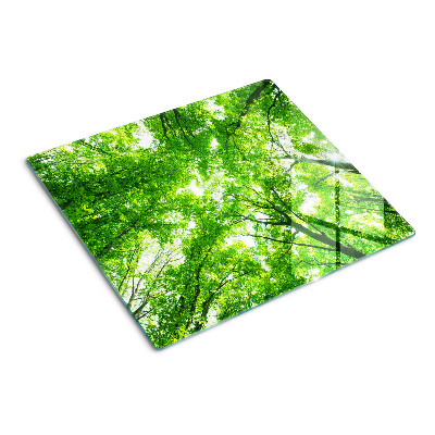 Tabla de cortar de cristal Bosques y árboles verdes