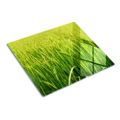 Tabla de cortar de cristal Campo de hierba verde