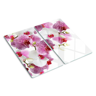 Tabla de cortar de cristal Orquídeas frente a la ventana
