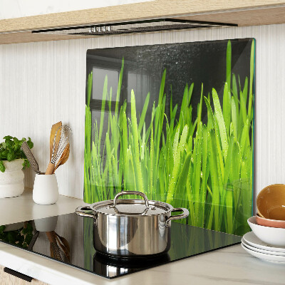 Tabla de cortar de cristal Hierba verde con gotas de agua