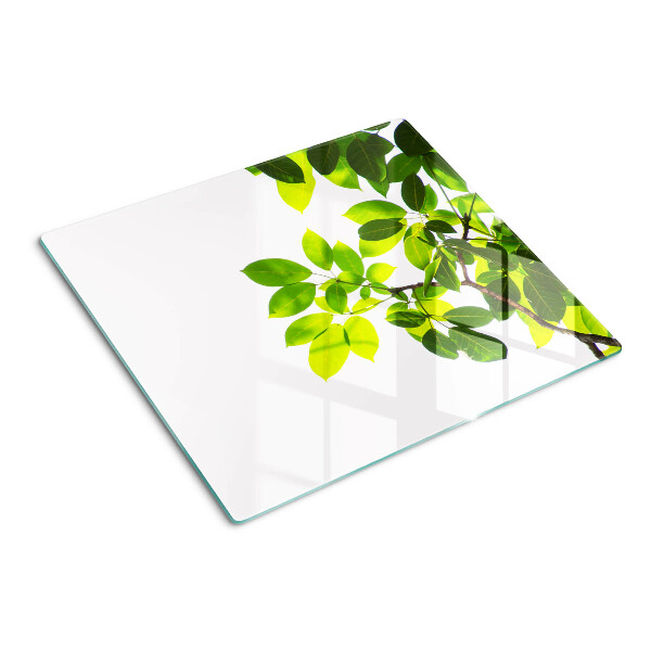 Tabla de cortar de cristal Hojas contra un cielo brillante
