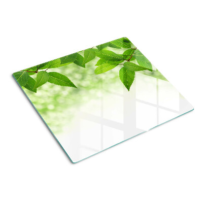 Tabla de cortar de cristal Hojas sobre un fondo verde borroso