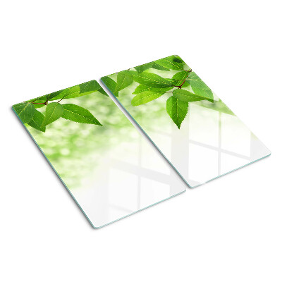 Tabla de cortar de cristal Hojas sobre un fondo verde borroso