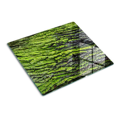 Tabla de cortar de cristal corteza de árbol verde