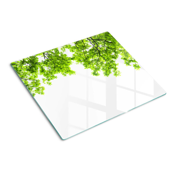Tabla para cortar Hojas verdes contra el cielo
