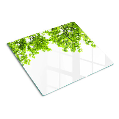 Tabla para cortar Hojas verdes contra el cielo