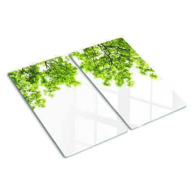 Tabla para cortar Hojas verdes contra el cielo