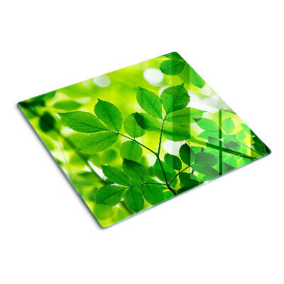 Tabla de cortar de cristal Hojas sobre un fondo verde