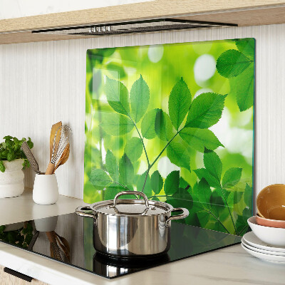 Tabla de cortar de cristal Hojas sobre un fondo verde
