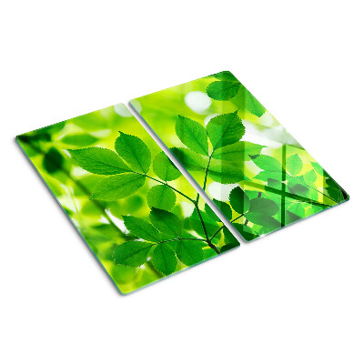 Tabla de cortar de cristal Hojas sobre un fondo verde