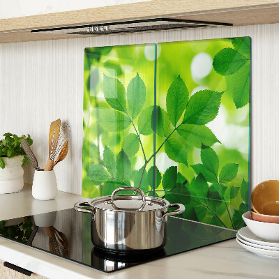 Tabla de cortar de cristal Hojas sobre un fondo verde