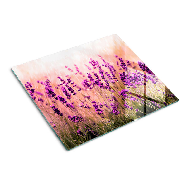 Tabla de cortar de cristal Campo de lavanda bajo los rayos del sol.