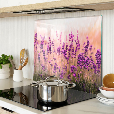 Tabla de cortar de cristal Campo de lavanda bajo los rayos del sol.