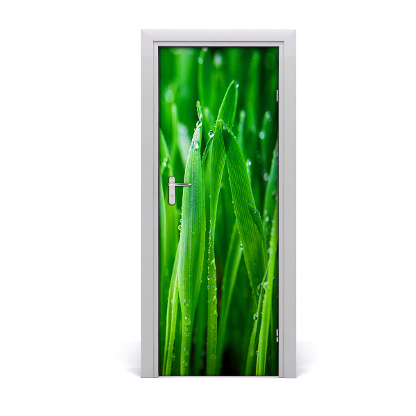 Door adhesive Briznas de hierba