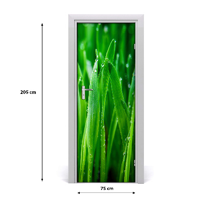 Door adhesive Briznas de hierba