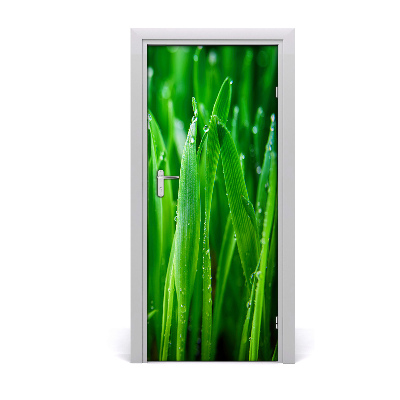 Door adhesive Briznas de hierba