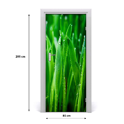 Door adhesive Briznas de hierba