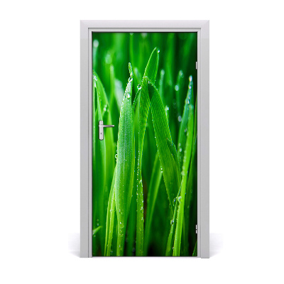 Door adhesive Briznas de hierba
