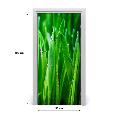Door adhesive Briznas de hierba