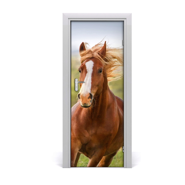 Vinilo para puerta Caballo al galope