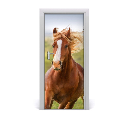 Vinilo para puerta Caballo al galope