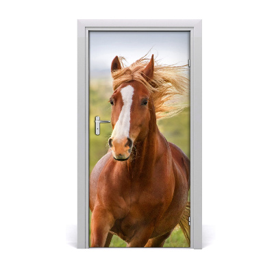 Vinilo para puerta Caballo al galope