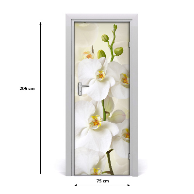Door adhesive Una orquídea blanca