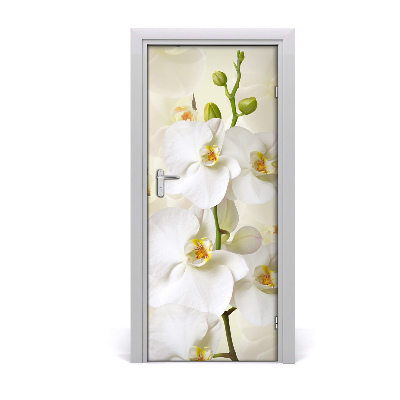 Door adhesive Una orquídea blanca