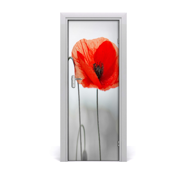 Door adhesive Amapolas
