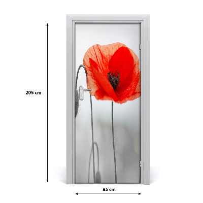 Door adhesive Amapolas