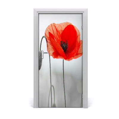 Door adhesive Amapolas