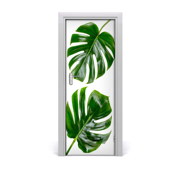 Lámina adhesiva de puerta Monstera