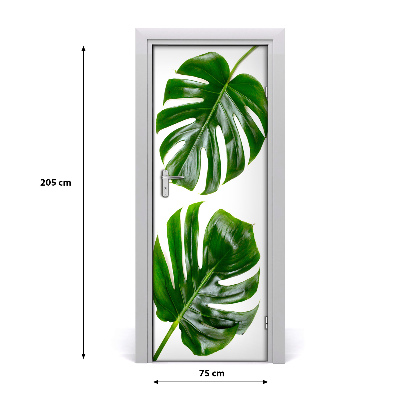 Lámina adhesiva de puerta Monstera