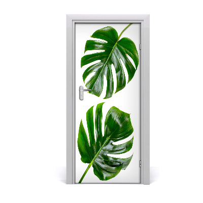 Lámina adhesiva de puerta Monstera