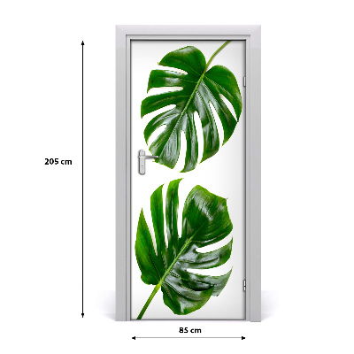 Lámina adhesiva de puerta Monstera
