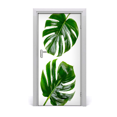 Lámina adhesiva de puerta Monstera